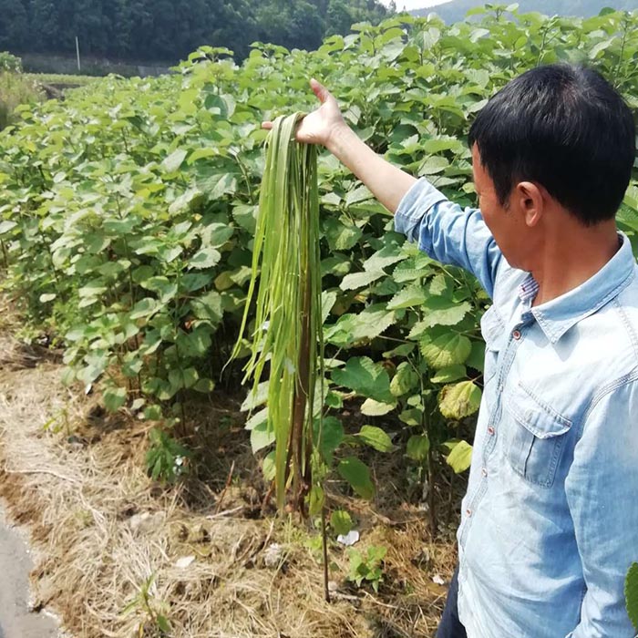 贵州省铜仁市生态午夜欧美理论片与精准扶贫示范区